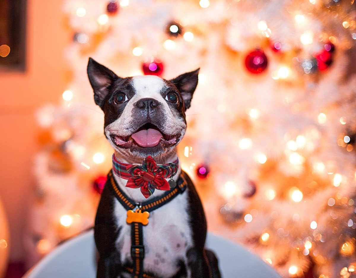 DOGWONG Christmas Dog Collar with Flower, Red Plaid Dog Collar Soft Durable Adjustable Cotton Red Tartan Puppy Collar for Small Medium Large Dog