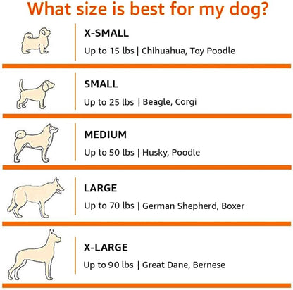 Amazon Basics Folding Portable Soft Pet Dog Crate Carrier Kennel, 26 x 18 x 18 inches, Blue