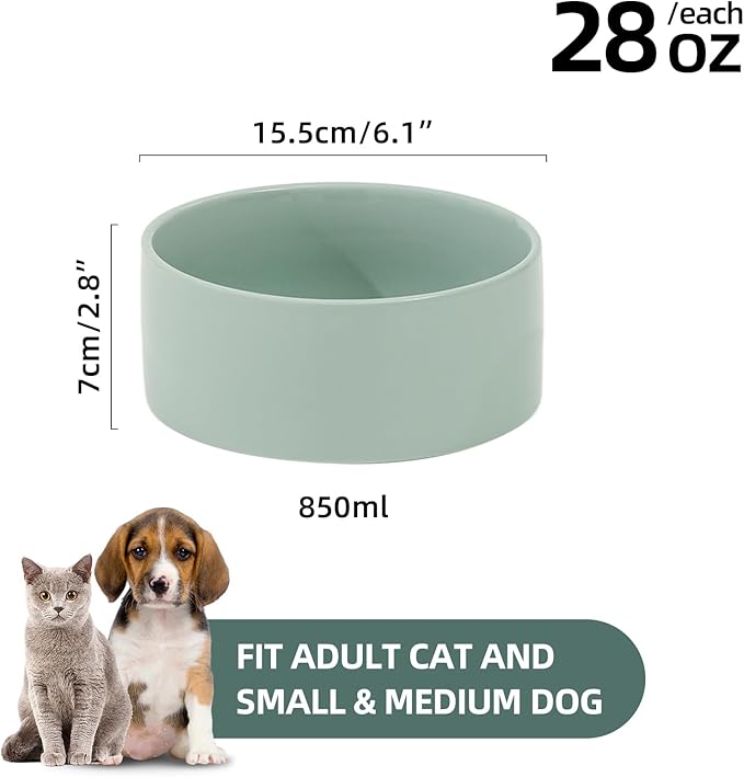Ceramic 6.1inch Dog Bowls for Small and Medium Breed Dog Dish Pet Food and Water Bowl (Set of 2 Bowls - Light Green, 28oz)