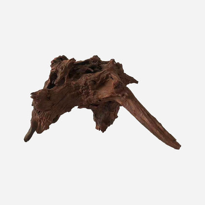 LYPHARD AQUARIUMS Natural Driftwood for Aquarium Decor, L12.2×W12.6×H8.66 Inches Large Drift Wood Decorations for Reptile Hide, Fish Tank, Optional Shapes
