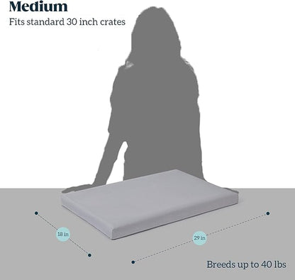 Cybarmour Chew Proof Dog Bed - Orthopedic Indestructible Dog Crate Pad - Outdoor Waterproof Kennel Mat for Aggressive Chewers - Medium Breeds & Fits 30-Inch Crate - 29"x18", Limestone