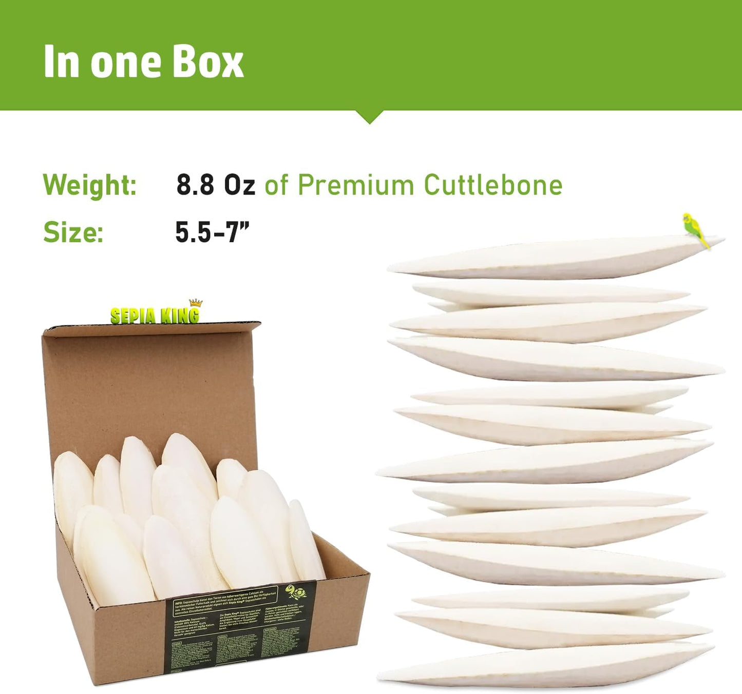 Large - 100% Natural Calcium Supplement - Premium Cuttlebone perfect for Birds, Tortoises, Snails, Reptiles - 5.5 to 7 inch