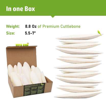 Large - 100% Natural Calcium Supplement - Premium Cuttlebone perfect for Birds, Tortoises, Snails, Reptiles - 5.5 to 7 inch