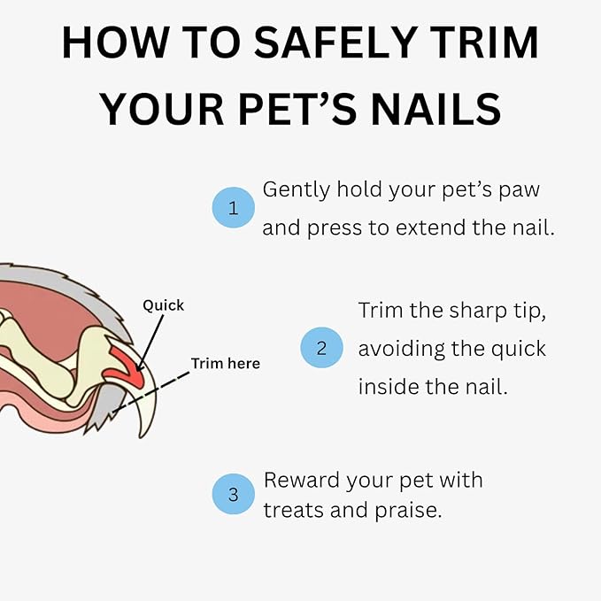 AIXINPET Dog & Cat Nail Clippers and Trimmers - with Free Nail File, Protective Guard to Avoid Over Cutting, Extra Sharp Blade - Suitable for Small to Large Dogs, Puppies, Birds and Rabbits (Large)