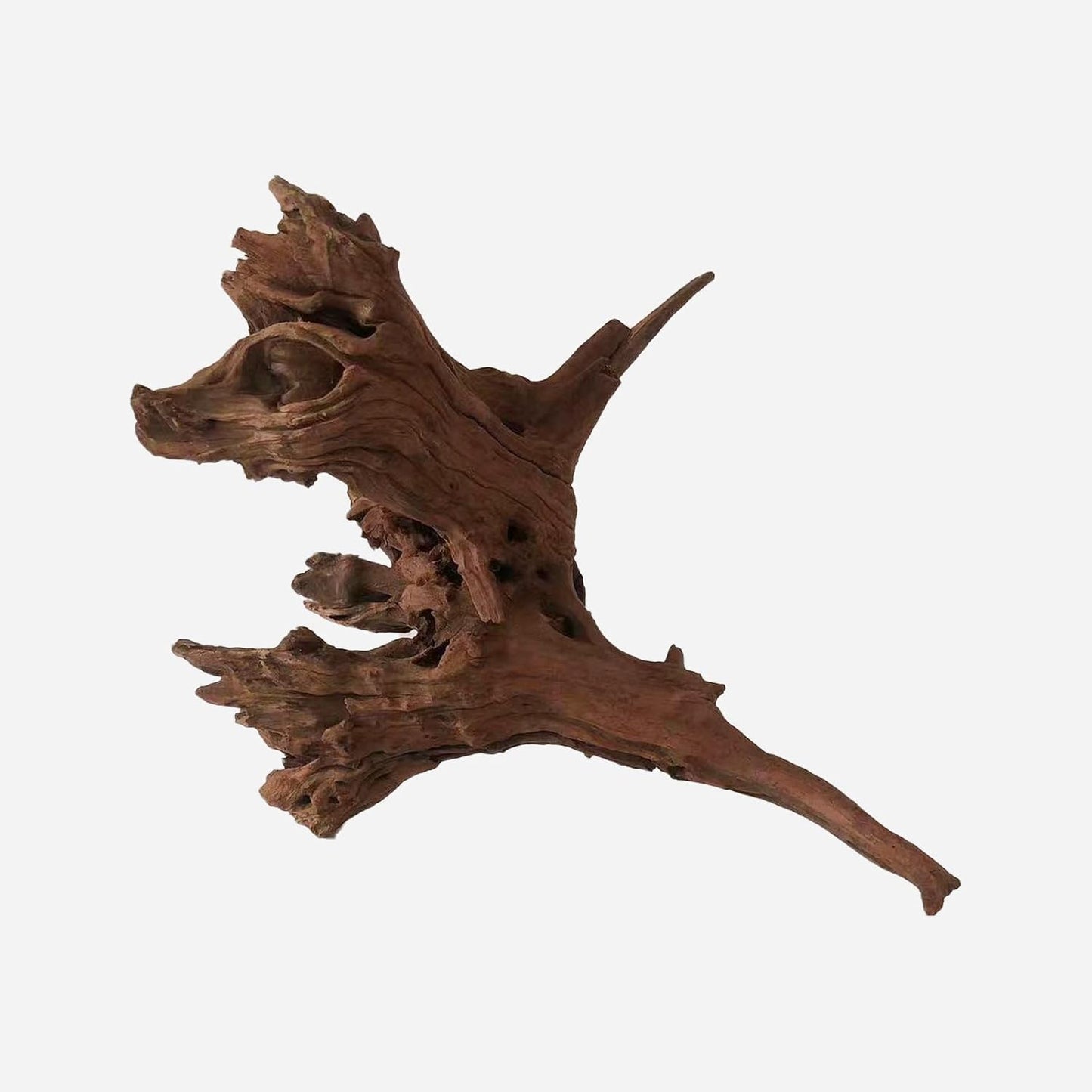 LYPHARD AQUARIUMS Natural Driftwood for Aquarium Decor, L14.57×W16.54×H14.96 Inches Large Drift Wood Decorations for Reptile Hide, Fish Tank, Optional Shapes