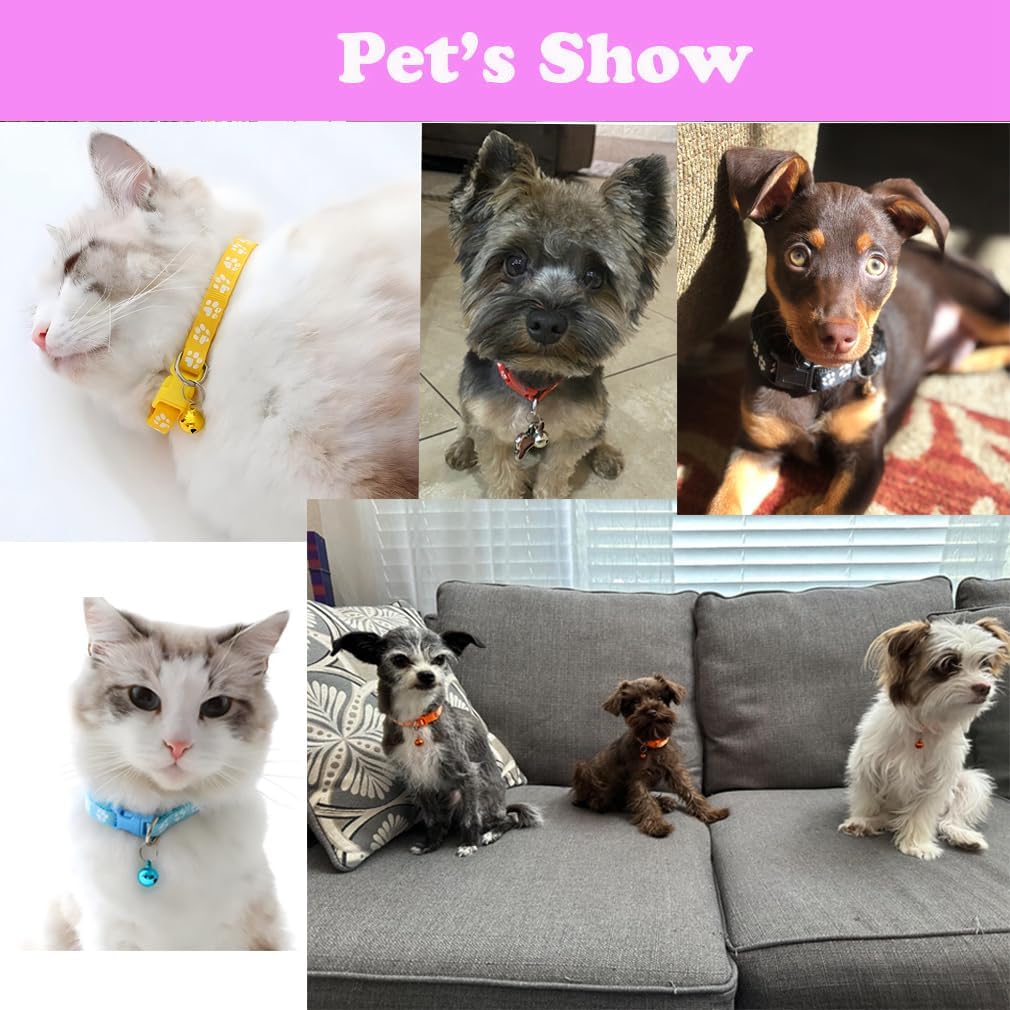 Small Bell for Dog Collar Leash Set, Nylon Basic Reflective Puppy Collars for XXS Xs Small Dog Cat Pet Animal Litter Tiny Kitten Boy Girls,Light Green