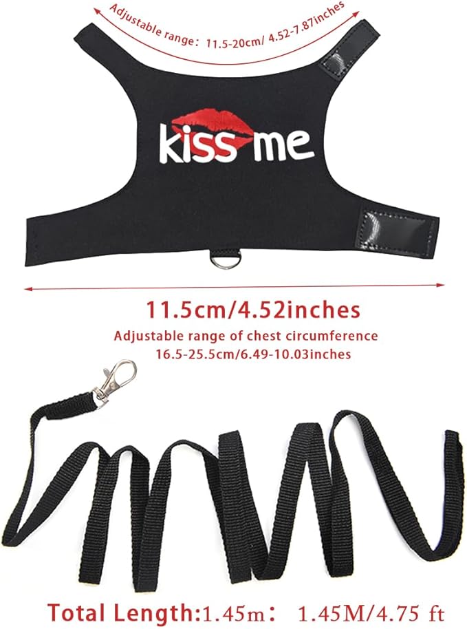 Bearded Dragon Harness and Leash with Glow in The Dark Letter, Luminous Lizard Reptiles Harness with 4.75 ft Leash for Amphibians Chameleons Outdoor Walking (Black)