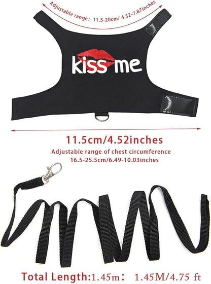 Bearded Dragon Harness and Leash with Glow in The Dark Letter, Luminous Lizard Reptiles Harness with 4.75 ft Leash for Amphibians Chameleons Outdoor Walking (Black)