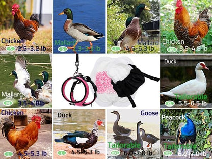 Chicken Harness Diaper Set with Leash – Adjustable & Durable Training Aid for Geese/Ducks | Washable Mesh for Safe Outdoor Exploration