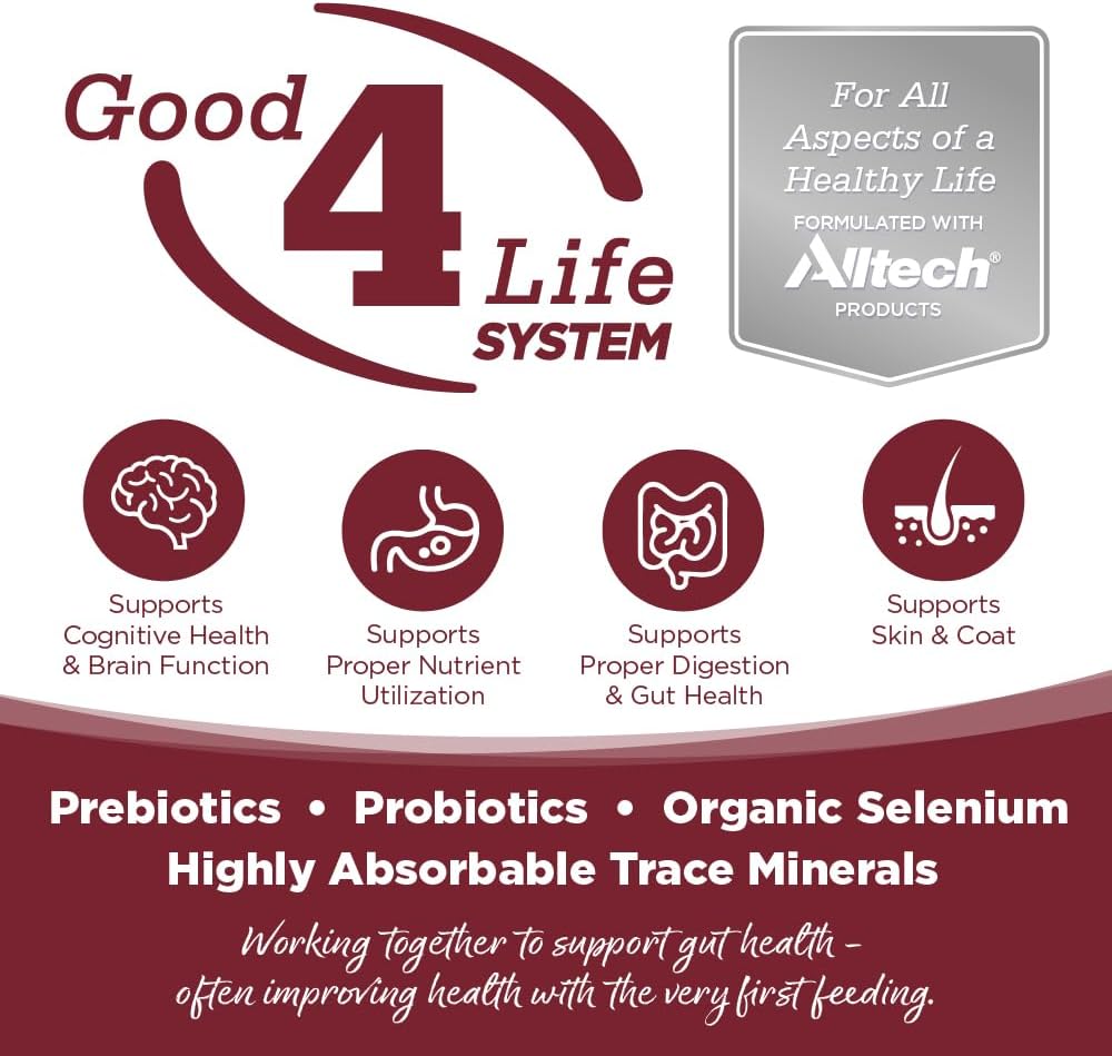 NutriSource Beef & Rice Recipe Dog Food, Premium Wet Dog Food, 12.3 Ounce (Pack of 12)