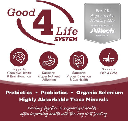 NutriSource Beef & Rice Recipe Dog Food, Premium Wet Dog Food, 12.3 Ounce (Pack of 12)