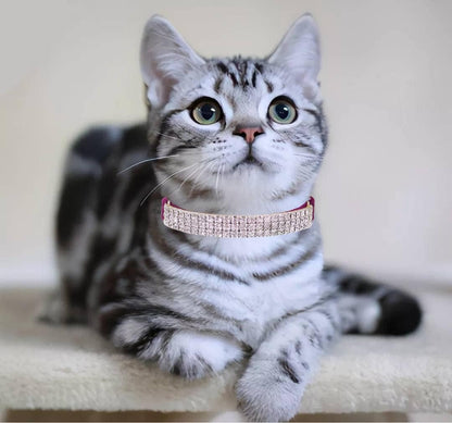 THAIN Rhinestones Cat Dog Collar Soft Velvet Safe Adjustable Collar Bling Diamante with Bells, 8-11 inch for Small Dogs and Cats (Purple)