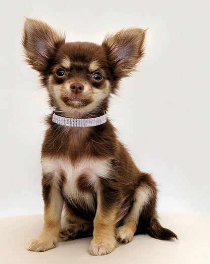 THAIN Rhinestones Cat Dog Collar Soft Velvet Safe Adjustable Collar Bling Diamante with Bells, 8-11 inch for Small Dogs and Cats (Pink+Black)