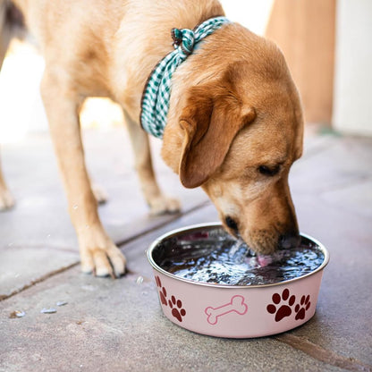 Loving Pets Bella Dog Bowls- Stainless Steel Dog & Cat Bowls - Spill Proof Dog Food Bowl, Cat Bowl, Puppy Essentials & Pet Supplies Great for Home & Travel (Medium 20-35 lbs, Paparazzi Pink)