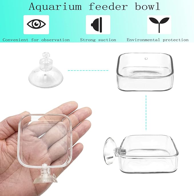 Aquarium Shrimp Feeder Dish Glass Fish Tank Feeding Bowls, 2pcs Square Glass Food Bowl (60mm), 1pcs Round Fish Feeding Bowls with Suction Cups (60mm)