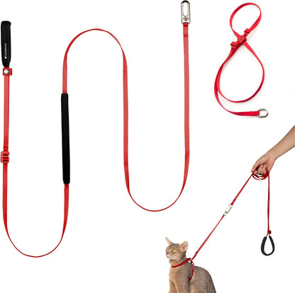 Cat Harness and Leash Set, Lightweight Escape Proof Cat Harness Leash with Padded Handle, Adjustable Cat Leash Harness for Kitten Small Large Cats Walking Training (Vivid Red, M)