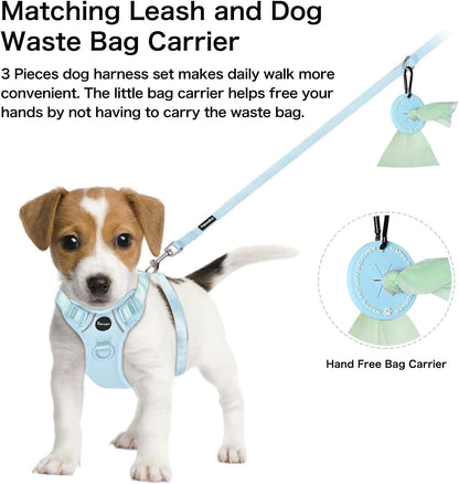 Petmolico Dog Harness for Medium Dogs No Pull, Cute Dog Harness with Two Leash Clips and Soft Handle, Reflective Easy Walk Dog Harness with Leash, Light Blue Medium
