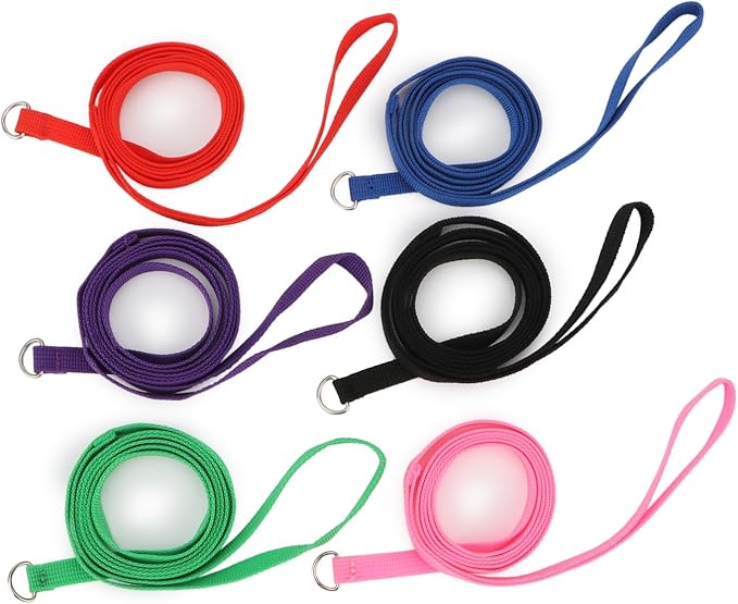 Hypeety 6 Pcs Bulk Pack Slip Leads Dog Pet Grooming Kennel Small Animal Control Shelter Lead Leash