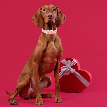 Valentine's Dog Collar,Pink Heart Dog Collar for Small Medium Large Girl Boy Dogs or Cats, Wedding Dog Collar Match Dog Leash, Pet Collar with Metal Buckle, M