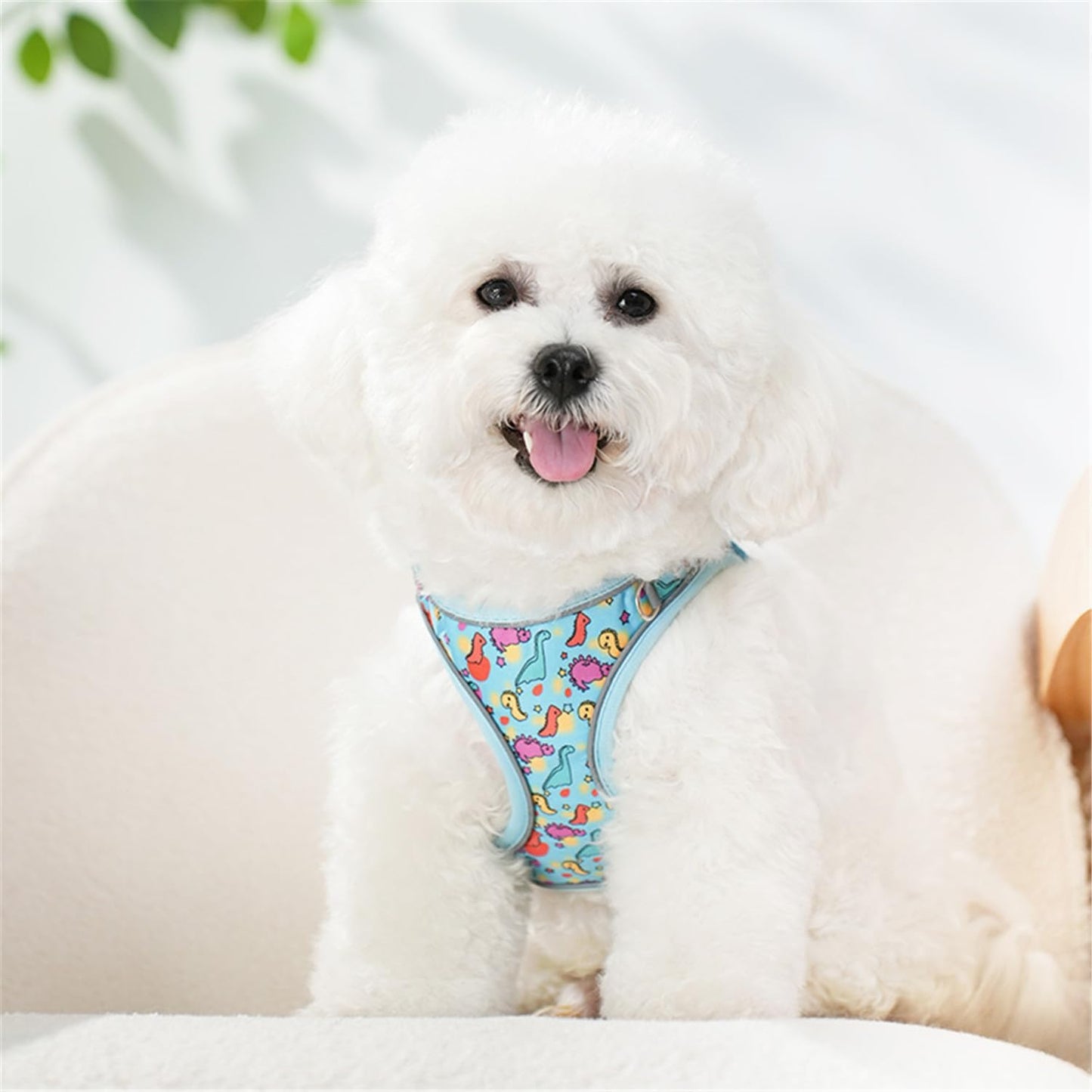 Step in Dog Harness No Pull Dinosaur Adjustable Soft Mesh Padded Reflective Pet Vest Harness and Leash Set for Small Medium Dogs