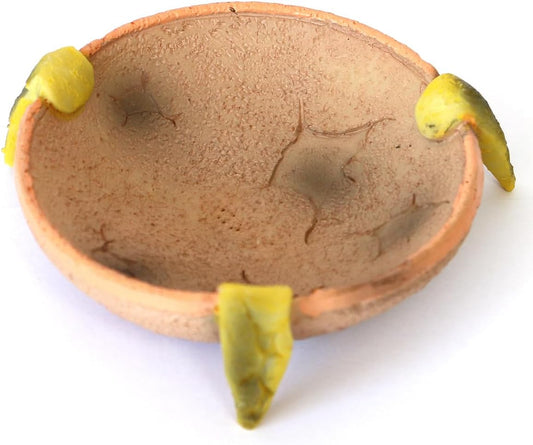 Food/Water Dish for Reptiles, Amphibians and Other Little Critters Water/Food Bowl, Made from Premium Resin (Orange-Brown Bowl)