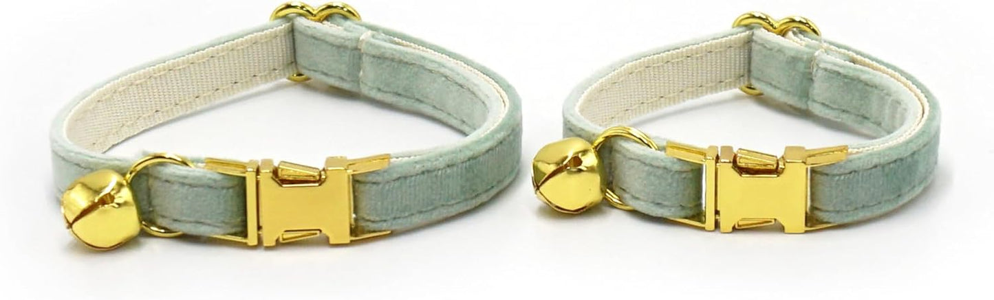 Personalized Cat Collar with Bells,Velvet Customized Small Cat Collar with Name Tag,Pet Collar with Name Phone Number Engraved ID Tags for Boy and Girl Kitten Cats (White Tea)