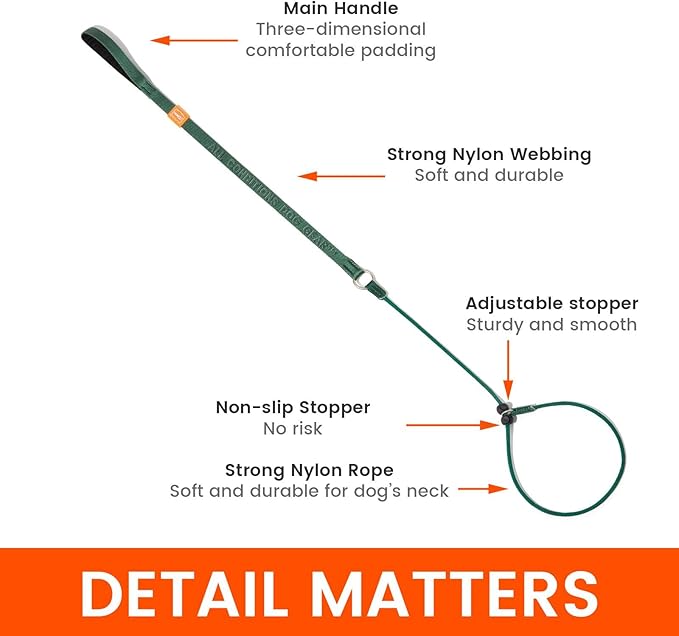 Howgo Dog Slip Lead Dog Leash, Training Lead, No-Pull Slip Leash and Collar, Heavy Duty & Durable Nylon, Padded Handle, for All Breeds (Orange, 3.6FT)