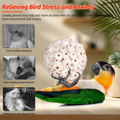 6 Pack Bird Toy Sola Balls, Natural Parrot Soft Chew Shredding & Foraging Toy, Bird Foot Balls for Cockatiel Conure Quaker Budgie Parakeet Bunny Guinea Pig Chinchilla Rabbit