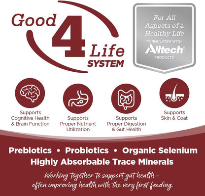 NutriSource Harvest Selects Field & Forest Dog Food, Premium Wet Dog Food, 12.3 Ounce (Pack of 12)