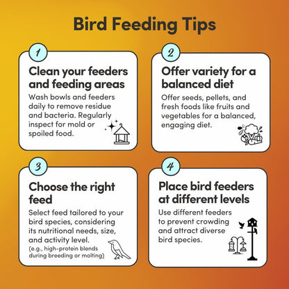 Mycelium Organic Large Parrot Feed (5 LB Bag) | Bird Food for Macaws, Cockatoos & Amazons | High-Protein Seed, Pellet & Kibble Blend | Supports Digestion & Energy | Made in USA, Non-GMO