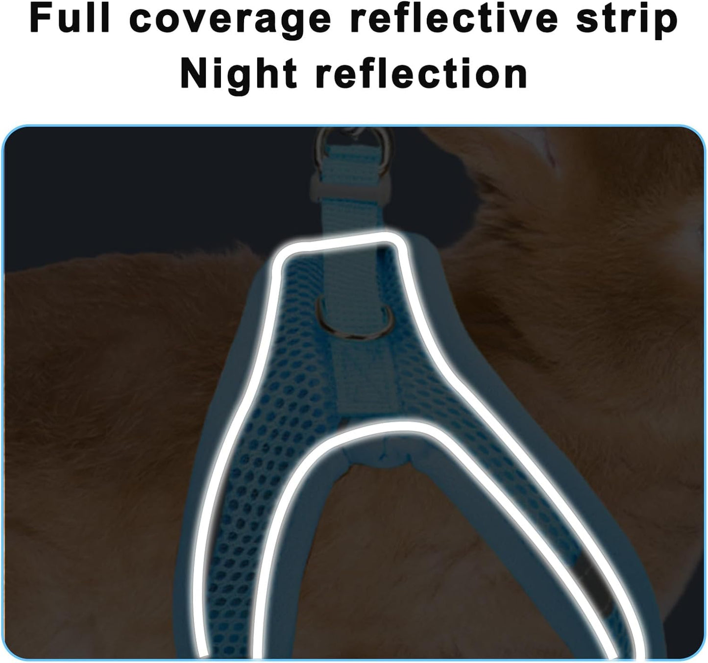 2 Pack Rabbit Harness and Leash Set, Double Buckle Bunnies Harness with Reflective Strips Soft Breathable Mesh Vest Harness for Rabbits Walks Accessories(Blue and Black)