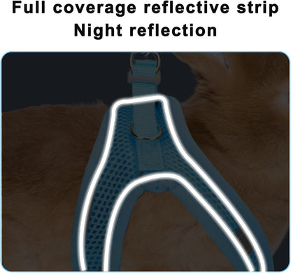 2 Pack Rabbit Harness and Leash Set, Double Buckle Bunnies Harness with Reflective Strips Soft Breathable Mesh Vest Harness for Rabbits Walks Accessories(Blue and Black)