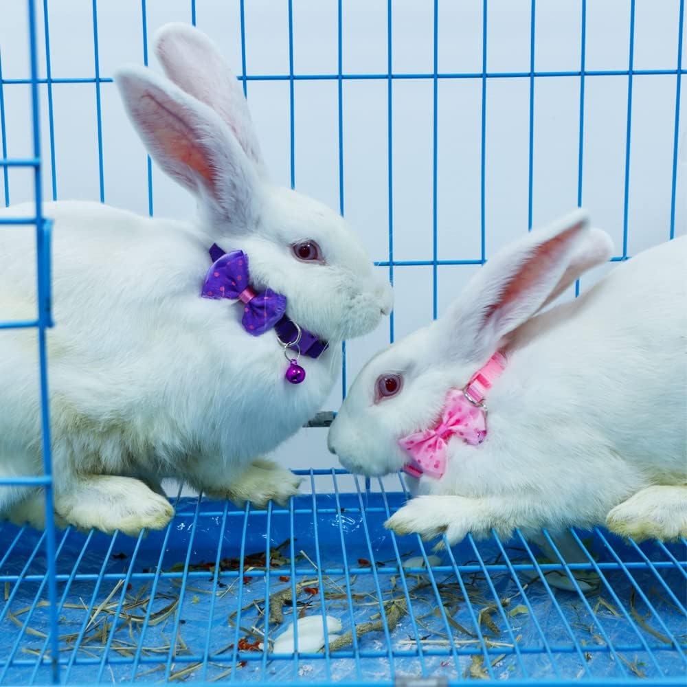 3 Pcs Rabbit Adjustable Collars with Bell, Guinea Pig Bow-Knot Cute Collar, Small Animal Exercise and Interaction Accessories (Colors May Vary)