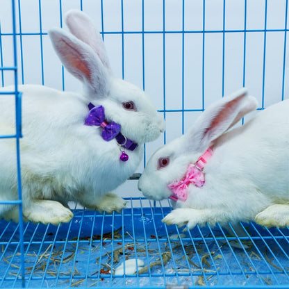 3 Pcs Rabbit Adjustable Collars with Bell, Guinea Pig Bow-Knot Cute Collar, Small Animal Exercise and Interaction Accessories (Colors May Vary)