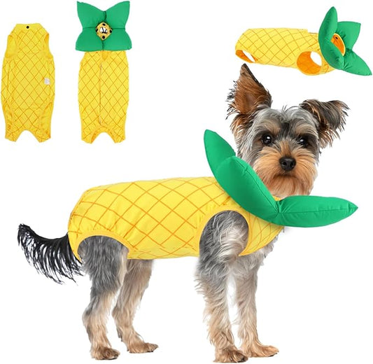 EMUST 2PCS Cat Recovery Suit & Cat Cone Collar Female, Soft & Adjustable Dog Surgery Suit Female Spay for Abdominal Wounds, Cotton Cone for Cats to Stop Licking for Small Female Pets 8-16lb, Yellow, L