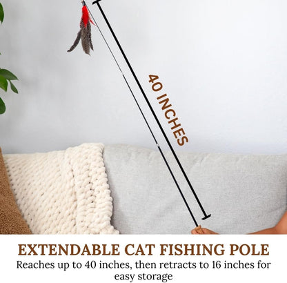 Cat Toys Set Cat Fishing Pole Retractable Wand Suction Cup & Hanging Teaser Wand for Indoor Cats & Kittens Feather Attachments Ribbon