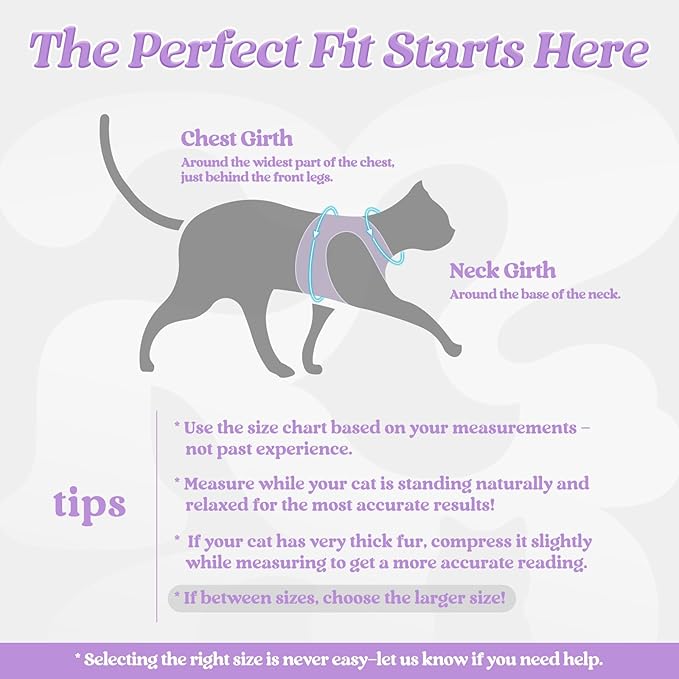 rabbitgoo Cat Harness and Leash Set for Walking Escape Proof, Adjustable Soft Kittens Vest with Reflective Strip for Cats, Comfortable Outdoor Vest, Light Purple, M