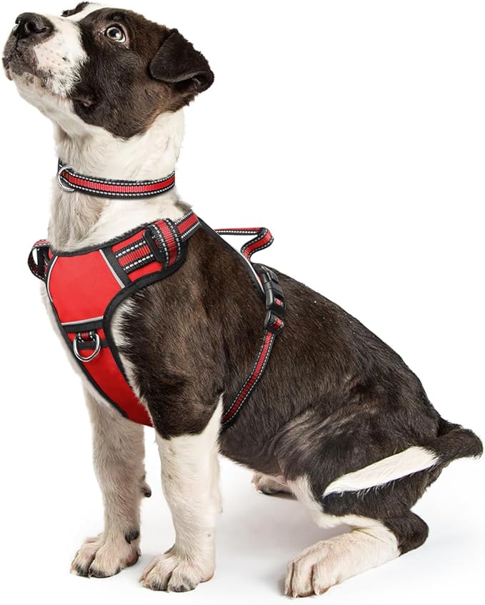 WINSEE Dog Harness No Pull, Pet Harnesses with Dog Collar, Adjustable Reflective Oxford Outdoor Vest, Front/Back Leash Clips for Small, Medium, Large, Extra Large Dogs, Easy Control Handle for Walking