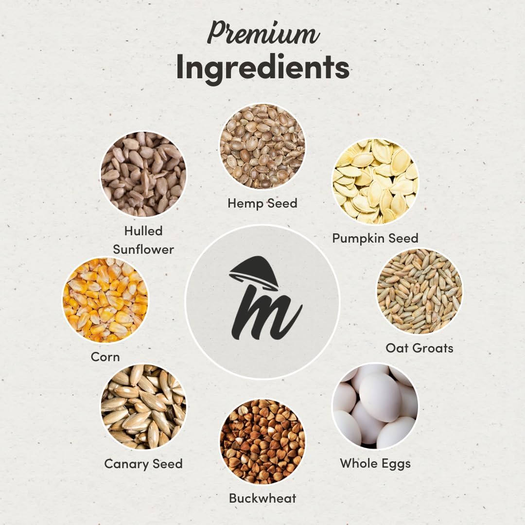 Mycelium Small Pet Bird Plus | Bird Seed for Cockatiels, Parrots, Lovebirds | Organic Mix with Vitamins, Egg, Oyster Shell, Pumpkin & Safflower | Supports Digestion & Feather Health | 5 lb Bag