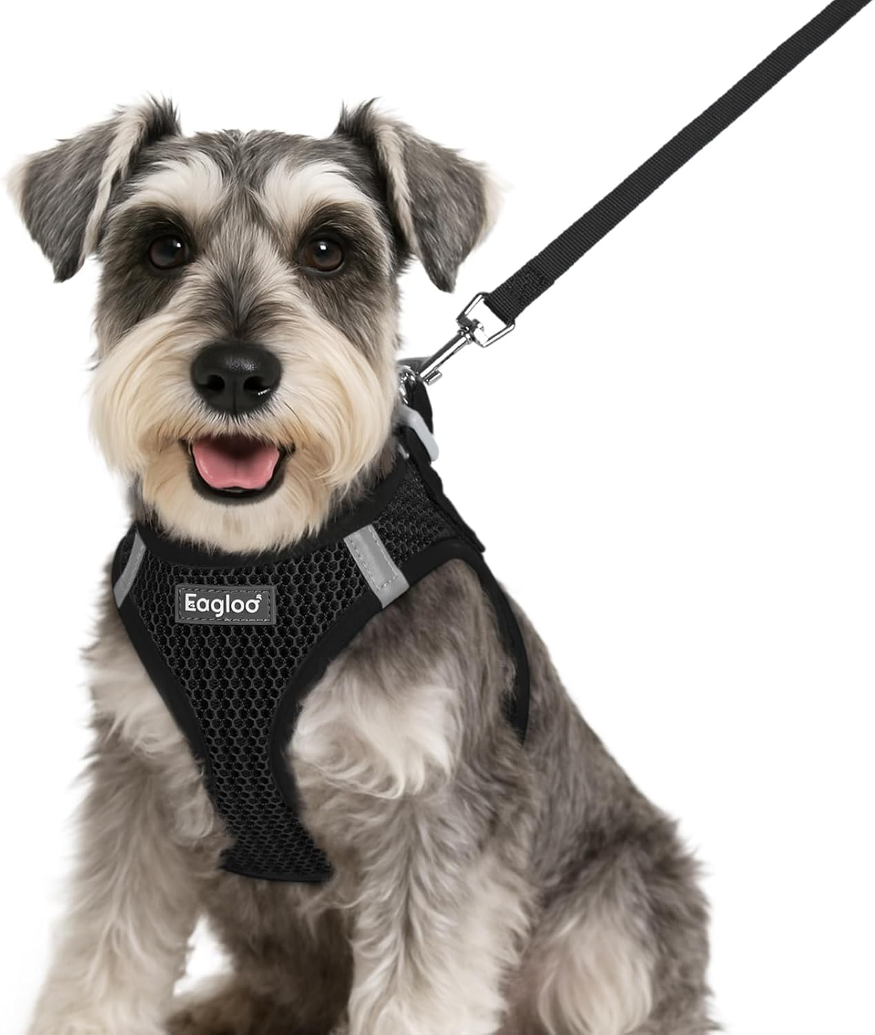 Eagloo Small Dog Harness and Leash Set, Step in Puppy Vest with Breathable Soft Mesh, Walking Reflective Pet Harness for Small Dogs, Black, S