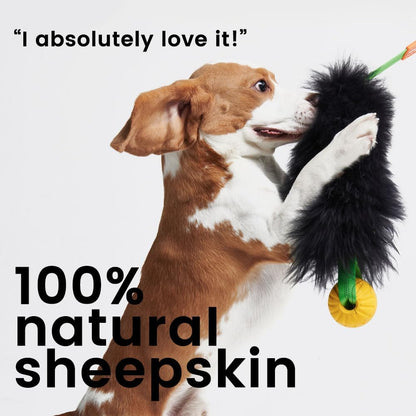 HOWGO Dog Rope Toy,Dog Bungee Chaser Toy 100% Sheepskin,Sheep Smell Tug Toy for All Breeds (Green, Long Without Ball)