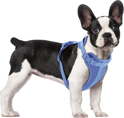 Wisedog No Pull Lightweight Dog Vest Harness with Soft and Comfortable Cushion, Breathable Mesh, for Small Medium Large Dogs Walking (M(Neck: 11.81"-18.11";Chest: 18.11"-27.95"), Blue)
