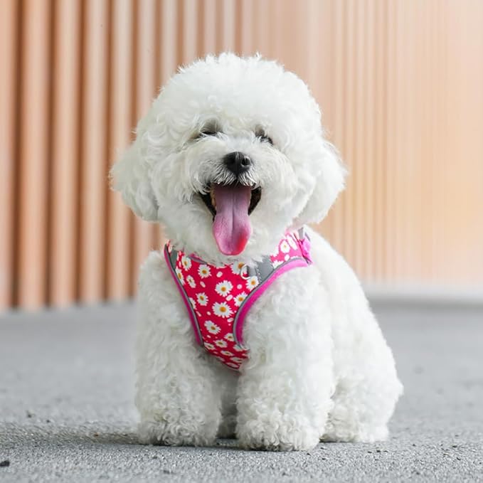 Step in Dog Harness and Leash Set, Flower Adjustable Easy Walk Puppy Harnesses, Soft Mesh Pet Vest Harness Small Size Dog Adjustable No Pull Dog Harness for Small Medium Dogs(Rose red, S)