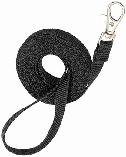 Bearded Dragon Carrier and Harness Set, Beardie Leash, Lizard Adjustable Harness Sling Bag, Reptile Small Pet Backpack Accessories (Blue)