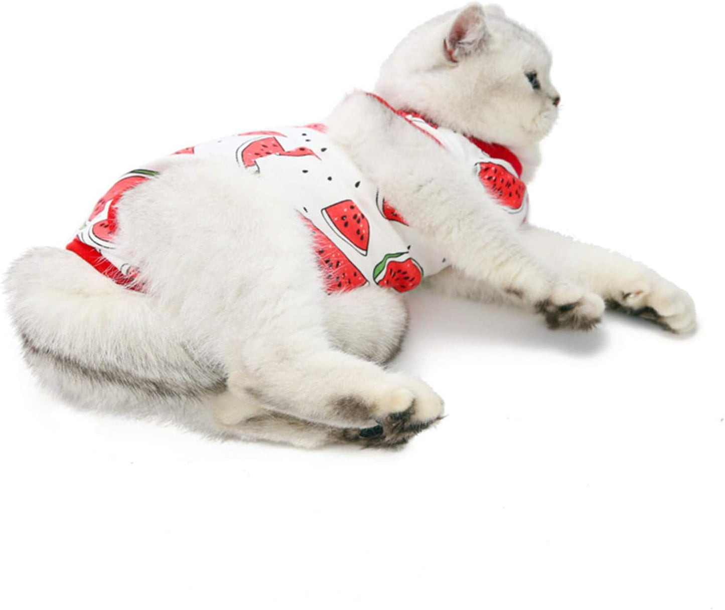 Cat Professional Surgical Recovery Suit,E-Collar Alternative for Cats Dogs,After Surgery Wear, Pajama Suit,Home Indoor Pets Clothing (M (6-8 1bs), Watermelon)