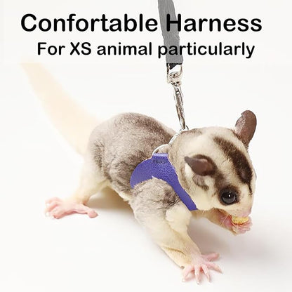 3 Pack Sugar Glider Harness and Leash Set Small Animal Training Walking Vest for Squirrel Hamster Rat Blue