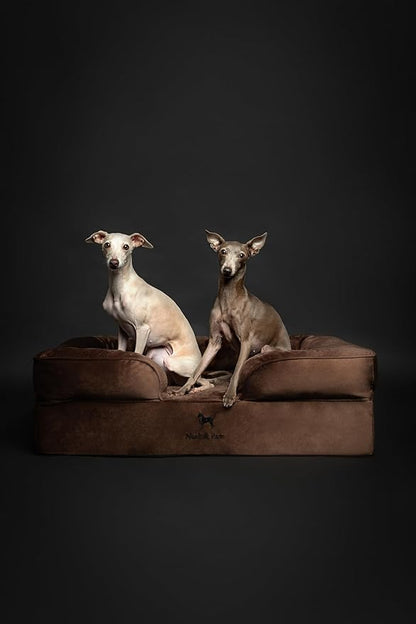 NOAH & PAW Large Dog Bed, 35x25x11 Inch, Orthopedic Dog Beds, Eggshell Memory Foam Infused with Cooling Gel, Inner Cover, Waterproof, Machine Washable (Velvet Sofa Collection)