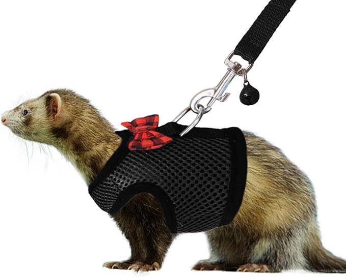 Rypet Animal Harness and Leash - Soft Mesh Pet Harness With Safe Bell, No Pull Comfort Padded Vest for Small Pet Black S