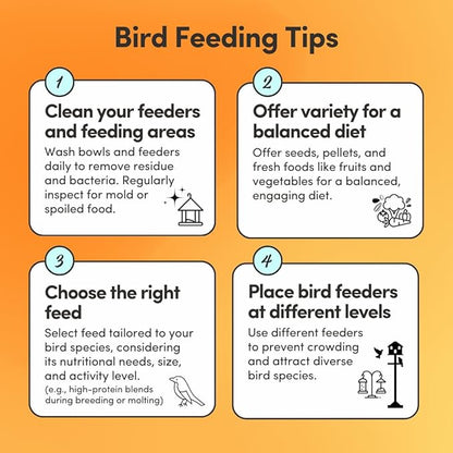 Mycelium Cockatiel Cuisine (5 LB Bag) | Organic Bird Seed w/Fruits, Veggies & Added Vitamins | Immune-Supporting, Nutrient-Rich Daily Blend for Cockatiels | Non-GMO, No Fillers, Made in USA