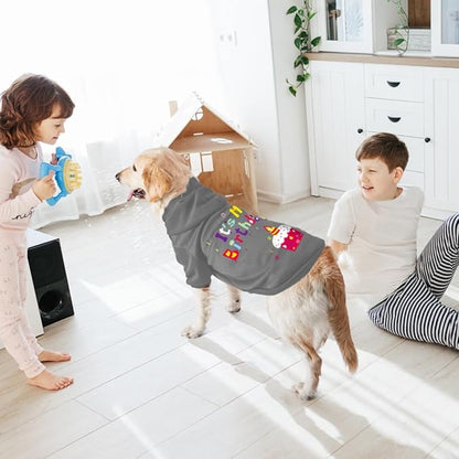 GreenJoy Dog Sweater Dog Hoodie Cold Weather Coat Hooded Sweatshirt for Puppies,Cats, Small Medium Large Dogs (Grey(It's My Birthday), Medium)